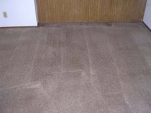 Carpet Cleaning nylon dining room carpet (after).