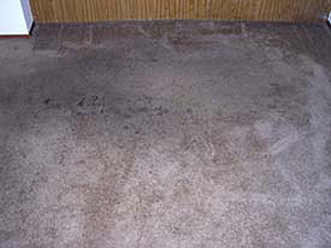 Carpet Cleaning nylon dinning room carpet (before).